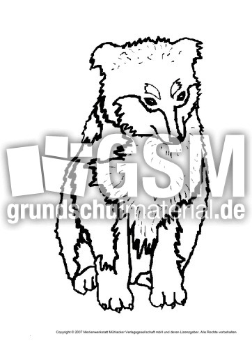 Hund-12.pdf